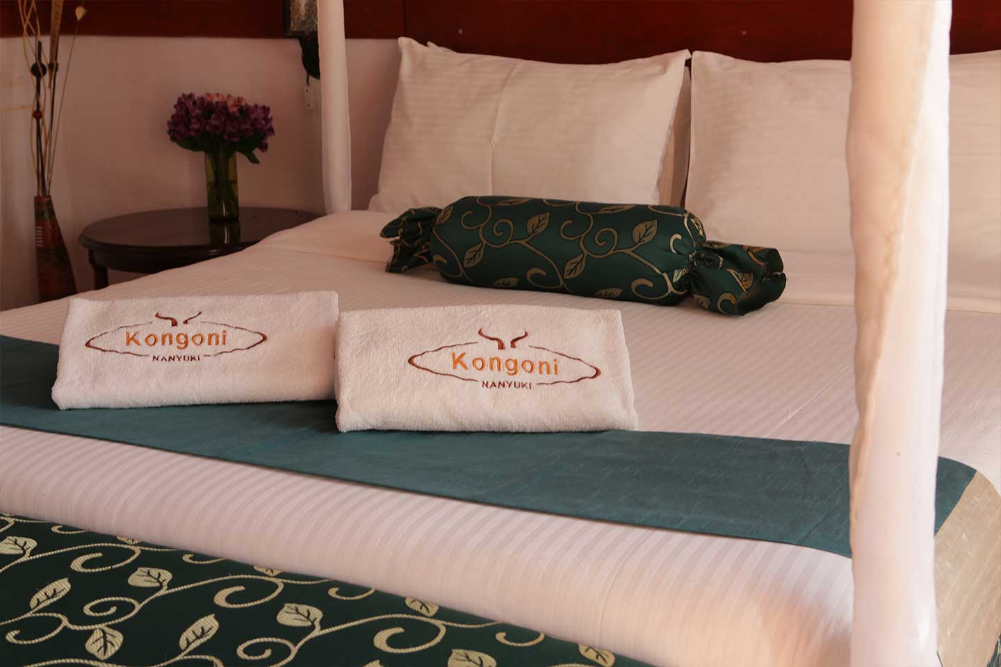 standard room kongoni