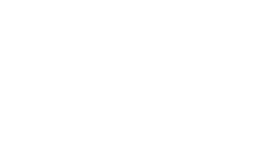kongoni logo