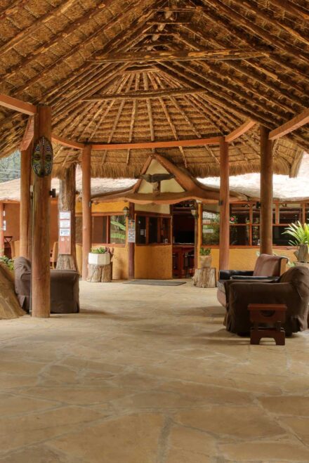 kongoni nanyuki - food and drinks